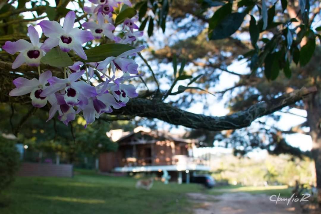 Linda Casa De Campo Viamão Exteriér fotografie